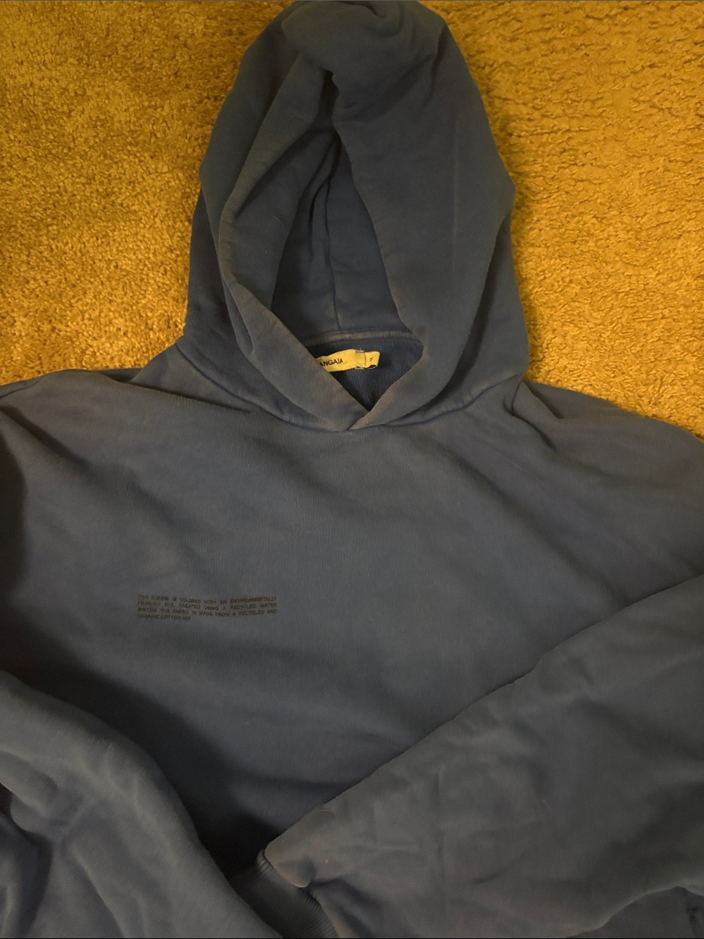 Pangea Blue Hooded Sweatshirt